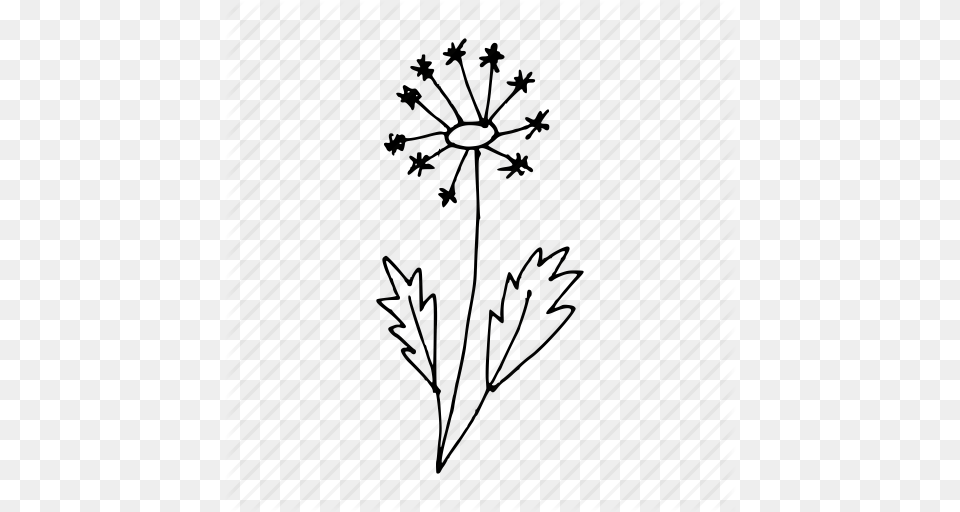 Blossom Dandelion Doodle Flower Hand Drawn Plant Wild Flower, Pattern, Art, Floral Design, Graphics Png