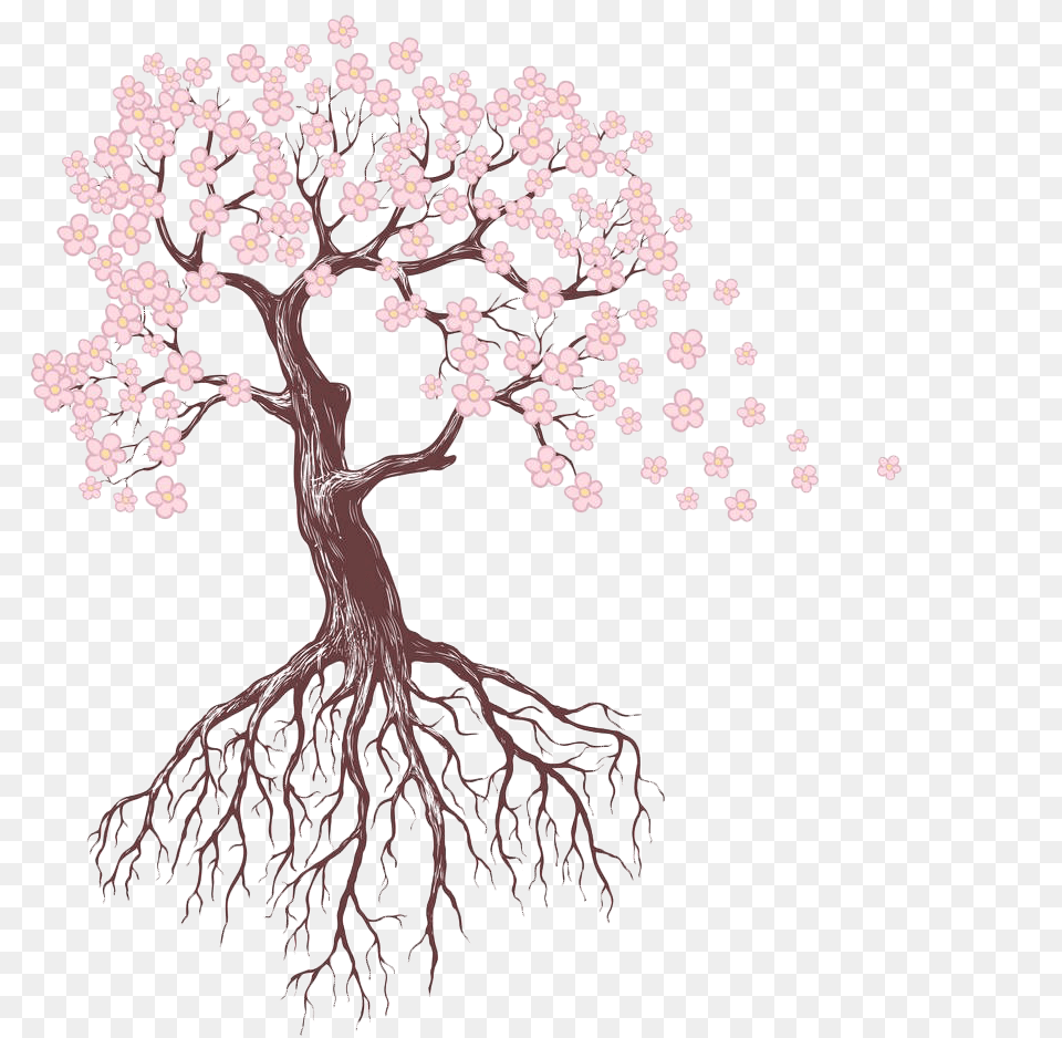 Blossom Drawing Sakura Tree Picture Tree With Flowers Drawing, Flower, Plant, Root, Chandelier Free Transparent Png