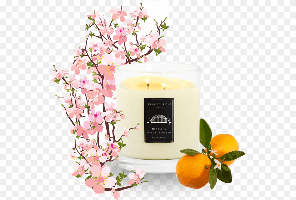 Blossom Editors Picks Neroli U0026 Peach Blossom Flower Branches Plant, Food, Fruit, Produce Free Transparent Png