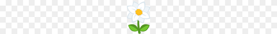 Blossom Emoji, Anemone, Daisy, Plant, Flower Free Png Download