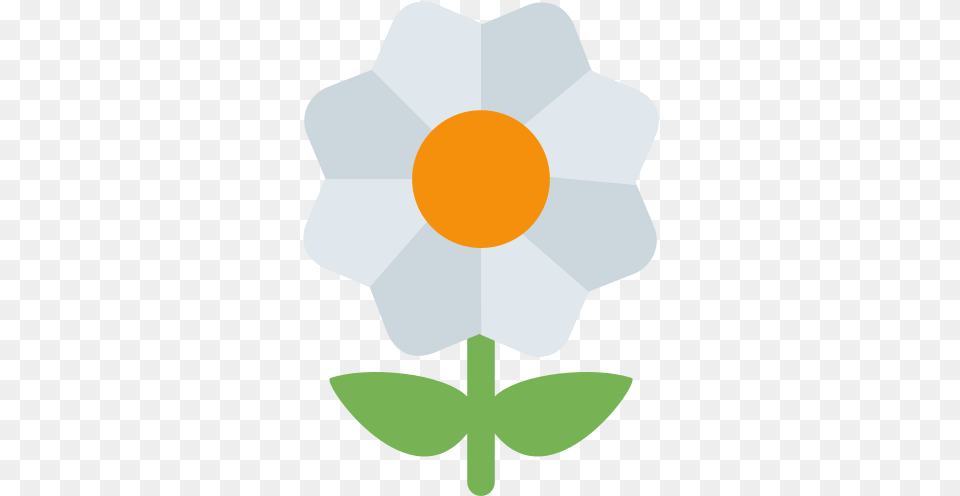 Blossom Emoji Meaning With Pictures From A To Z Twitter Blossom Emoji, Anemone, Plant, Daisy, Petal Free Transparent Png