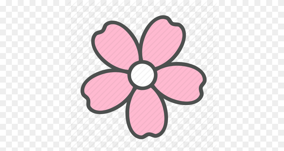 Blossom Flower Nature Sakura Spring Icon, Anemone, Daisy, Petal, Plant Png Image
