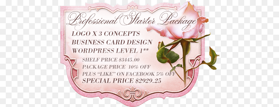 Blossom Graphic Design Boutique Business Specials Garden Roses, Flower, Plant, Rose, Plaque Free Png Download