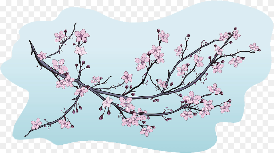 Blossom Illustration Decorative Illustrations Of Cherry Blossom, Flower, Plant, Cherry Blossom Free Png