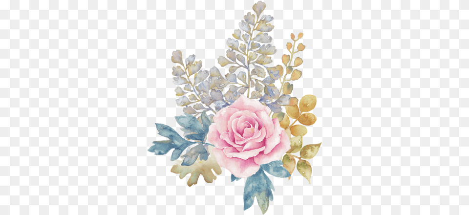 Blossom Illustrations Pink Watercolour Flower, Rose, Plant, Flower Arrangement, Pattern Png Image