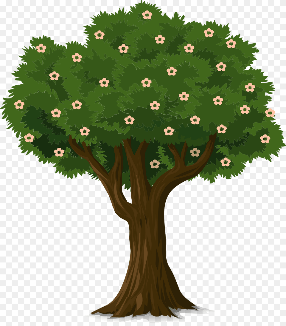 Blossom Tree Clipart, Vegetation, Plant, Tree Trunk, Sycamore Free Png Download