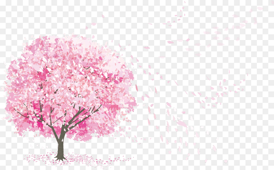 Blossom Tree Japan, Flower, Plant, Cherry Blossom, Petal Png