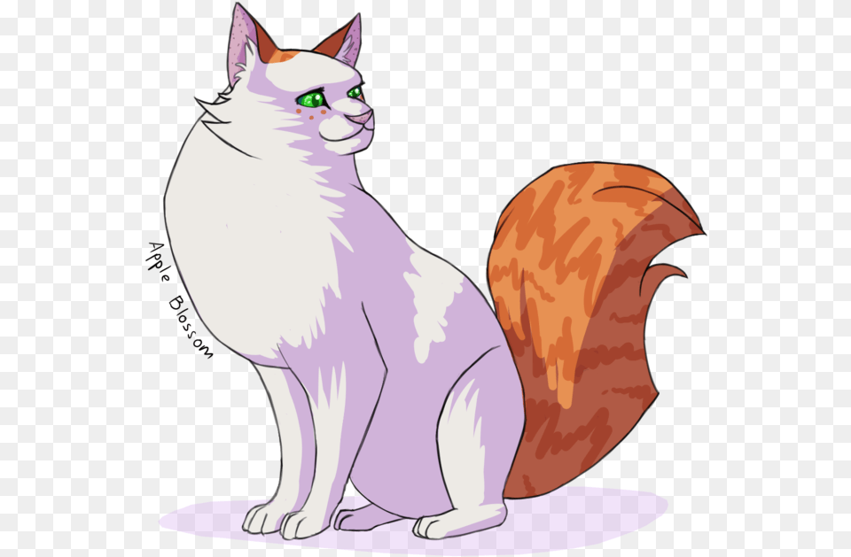 Blossom Warrior Cats, Angora, Animal, Cat, Mammal Png