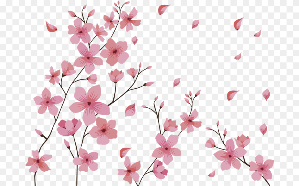 Blosson Spring Flower Wall Decor Butterfly And Flower Template, Petal, Plant, Cherry Blossom, Geranium Png