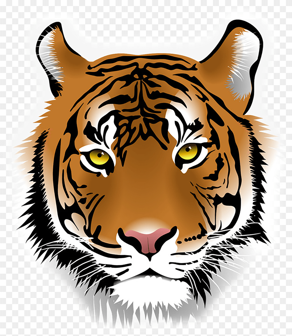 Blountstown Middle School Bengal Tiger Head Clipart Png