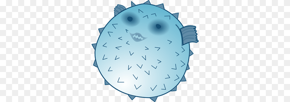 Blowfish Animal, Fish, Sea Life, Puffer Free Png Download