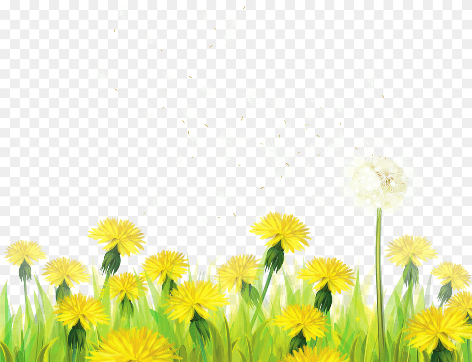 Blowing Dandelion Free Png Download