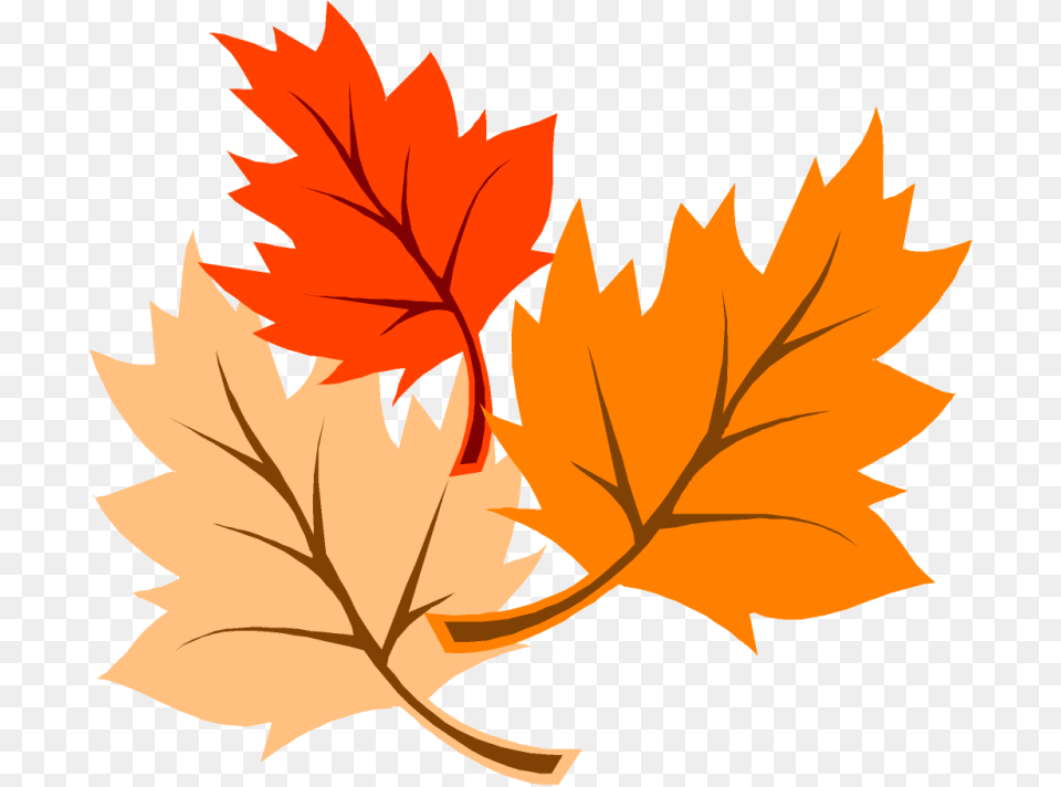Blowing Leaves Clip Art, Leaf, Plant, Tree, Maple Leaf Png