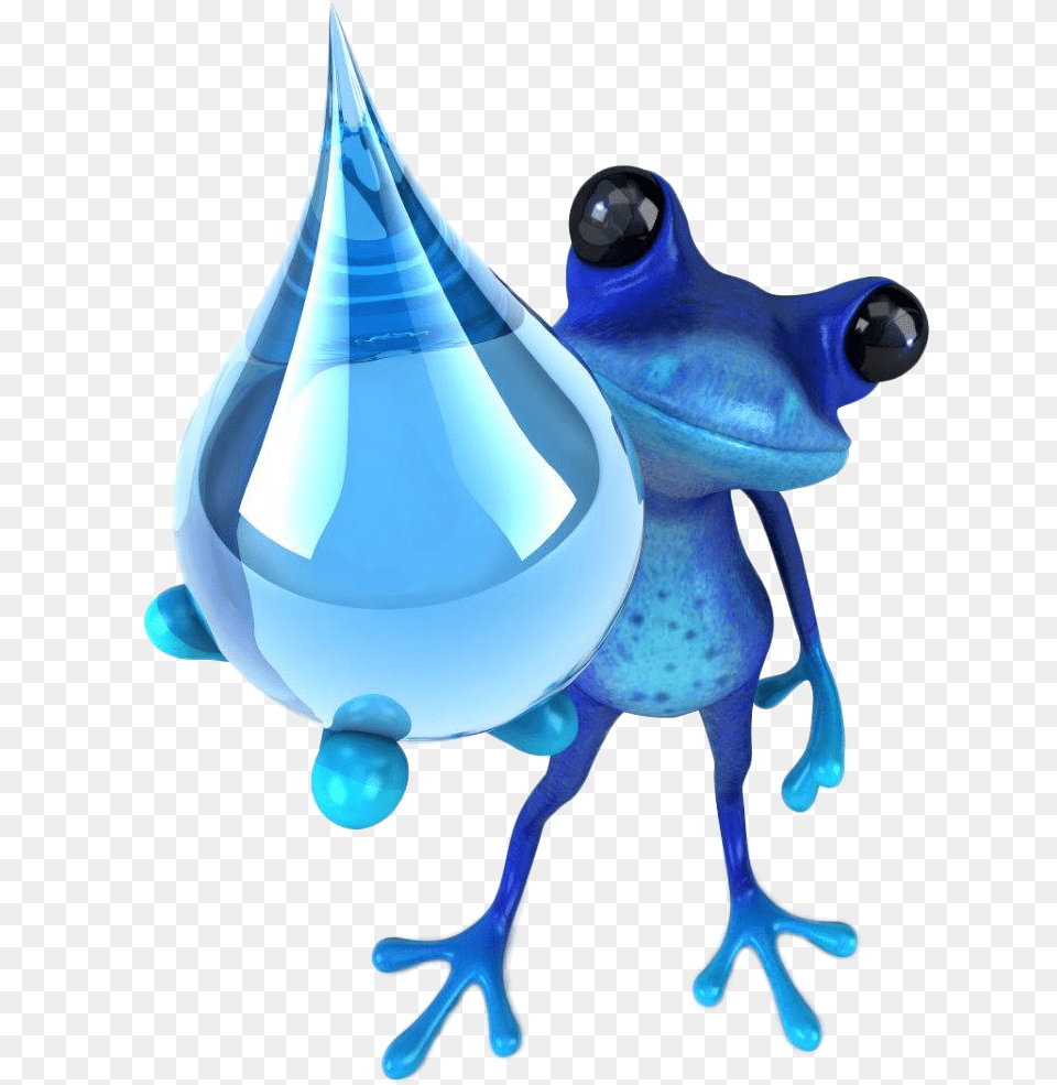 Blu Frog Plumbing Water Drop Photograph, Droplet, Amphibian, Animal, Wildlife Png