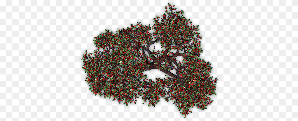 Blu Fruit Tree Top View, Oak, Pattern, Plant, Sycamore Free Png Download