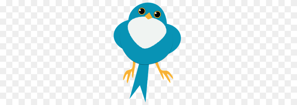 Blue Animal, Beak, Bird Free Png Download