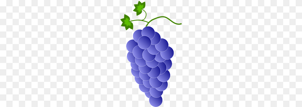 Blue Food, Fruit, Grapes, Plant Free Transparent Png