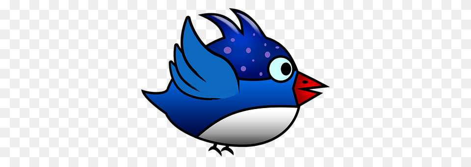 Blue Animal, Bird, Jay, Fish Free Png