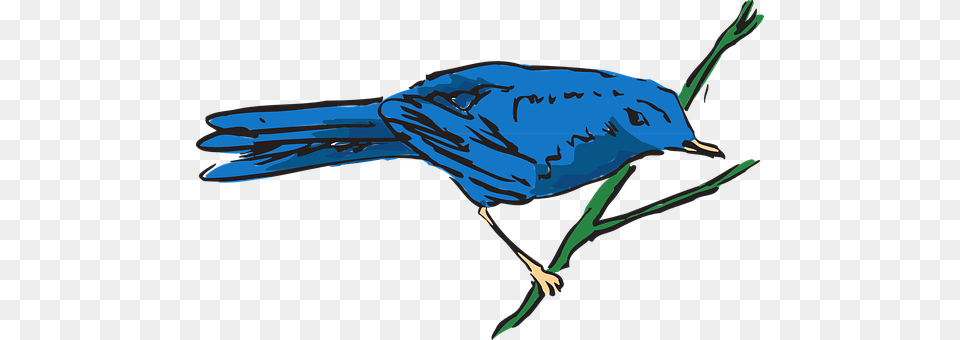 Blue Animal, Bird, Bluebird, Jay Free Transparent Png