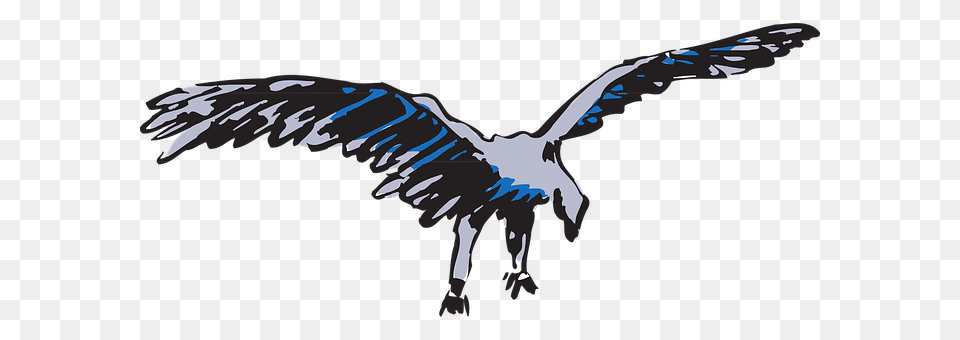 Blue Animal, Bird, Flying, Vulture Free Png Download