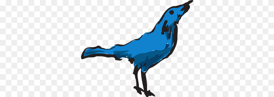 Blue Animal, Bird, Jay, Blue Jay Free Transparent Png