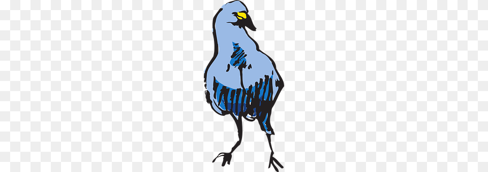 Blue Animal, Beak, Bird, Jay Png
