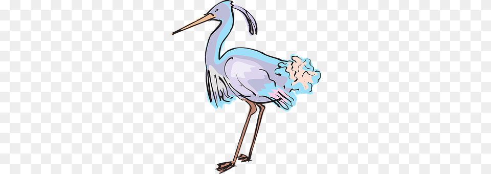 Blue Animal, Bird, Crane Bird, Waterfowl Free Png
