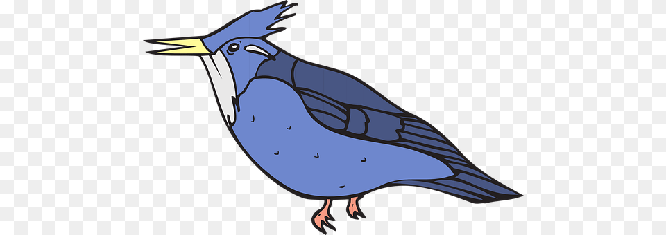 Blue Animal, Bird, Jay, Blue Jay Png