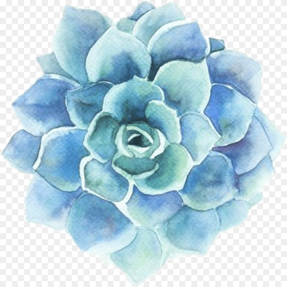 Blue Aesthetic Stickers Flower, Dahlia, Petal, Plant, Rose Free Png