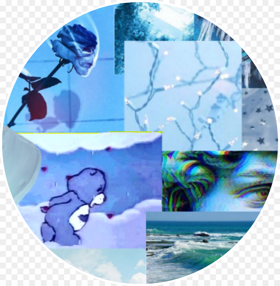 Blue Aesthetic Vsco Fancy Rose Bears Edited Blue Profile Picture Aesthetic, Nature, Outdoors, Ice, Baby Free Png