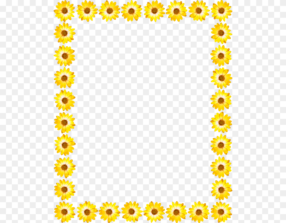 Blue Amp Yellow Border Design, Daisy, Flower, Plant, Sunflower Png Image
