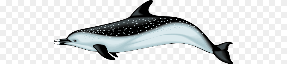 Blue And Black Dolphin With Spots Clip Art, Animal, Mammal, Sea Life, Appliance Png