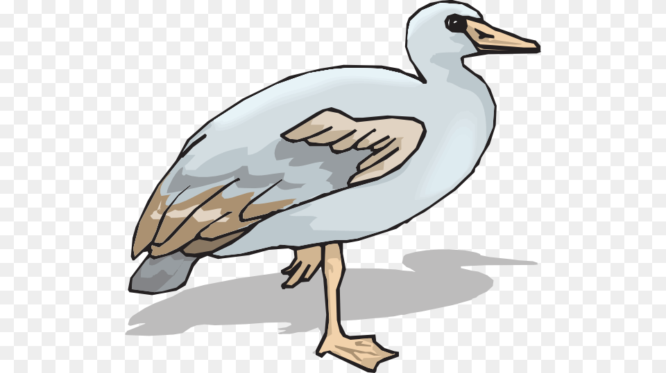 Blue And Brown Goose Svg Clip Arts Goose, Animal, Bird, Waterfowl, Fish Free Transparent Png