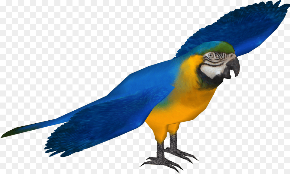 Blue And Gold Macaw Blue Macaw, Animal, Bird, Fish, Parrot Free Transparent Png