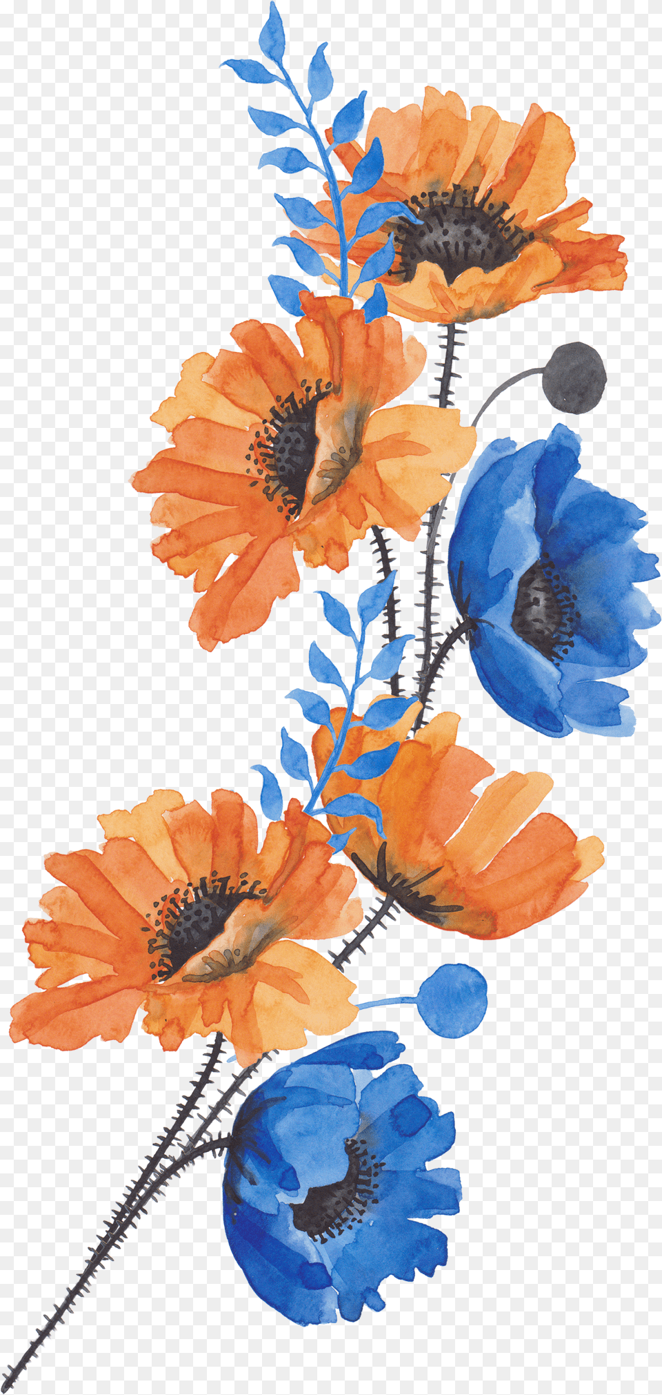 Blue And Orange Watercolor Flowers Free Png Download