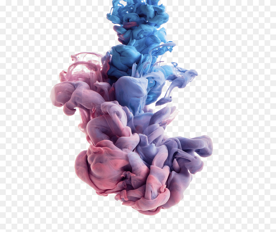 Blue And Pink Smoke Download, Flower, Plant, Rose, Purple Png Image