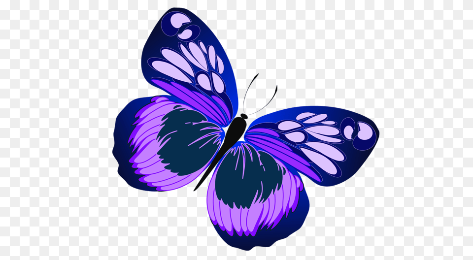 Blue And Purple Butterfly, Flower, Petal, Plant Free Png Download