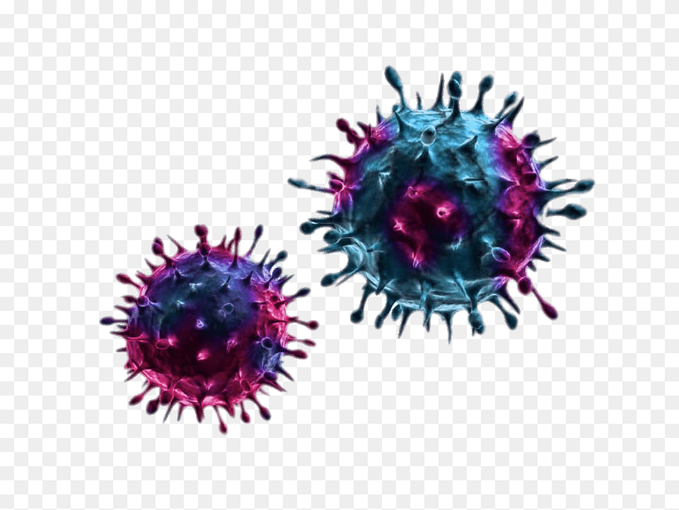 Blue And Purple Viruses, Pattern, Plant, Pollen, Accessories Png Image