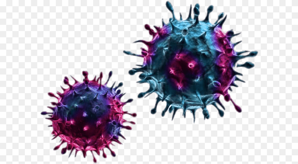 Blue And Purple Viruses Transparent Virus Transparent, Accessories, Pattern, Pollen, Plant Free Png