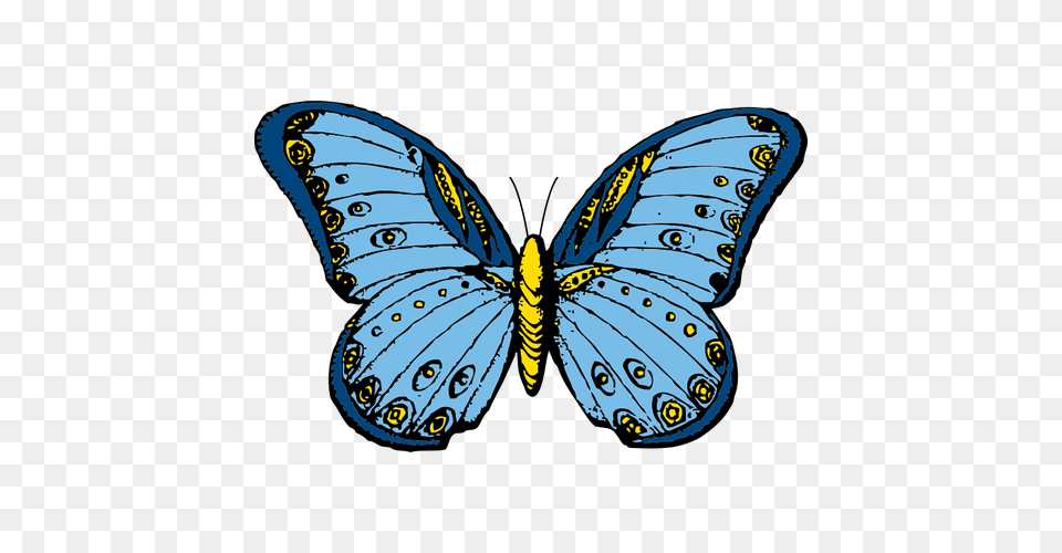 Blue And Yellow Butterfly Vector Clip Art, Animal, Insect, Invertebrate Free Transparent Png