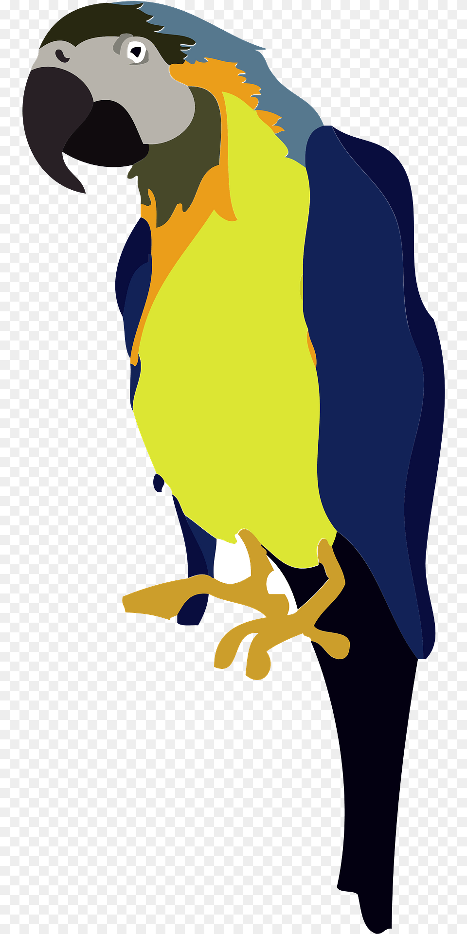Blue And Yellow Macaw Clipart, Animal, Beak, Bird, Person Free Png