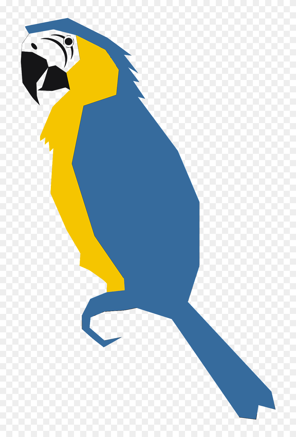 Blue And Yellow Parrot Clipart, Animal, Bird, Jay, Person Free Png