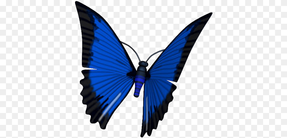 Blue Animated Butterfly High Quality Image Arts Animated Butterflies Transparent Background, Animal, Bird, Flying, Invertebrate Free Png Download