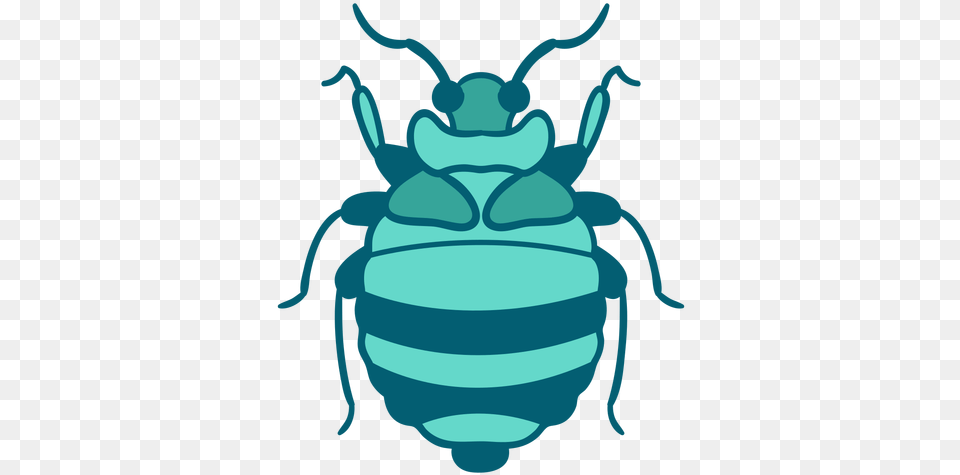 Blue Beetle Insect Icon Inseto, Animal, Baby, Person Png
