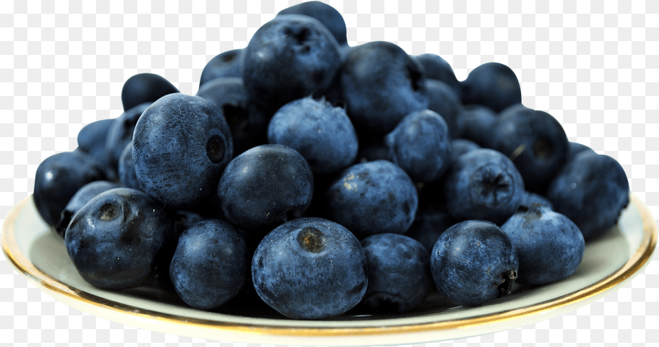 Blue Berries On Plate, Berry, Blueberry, Food, Fruit Png Image