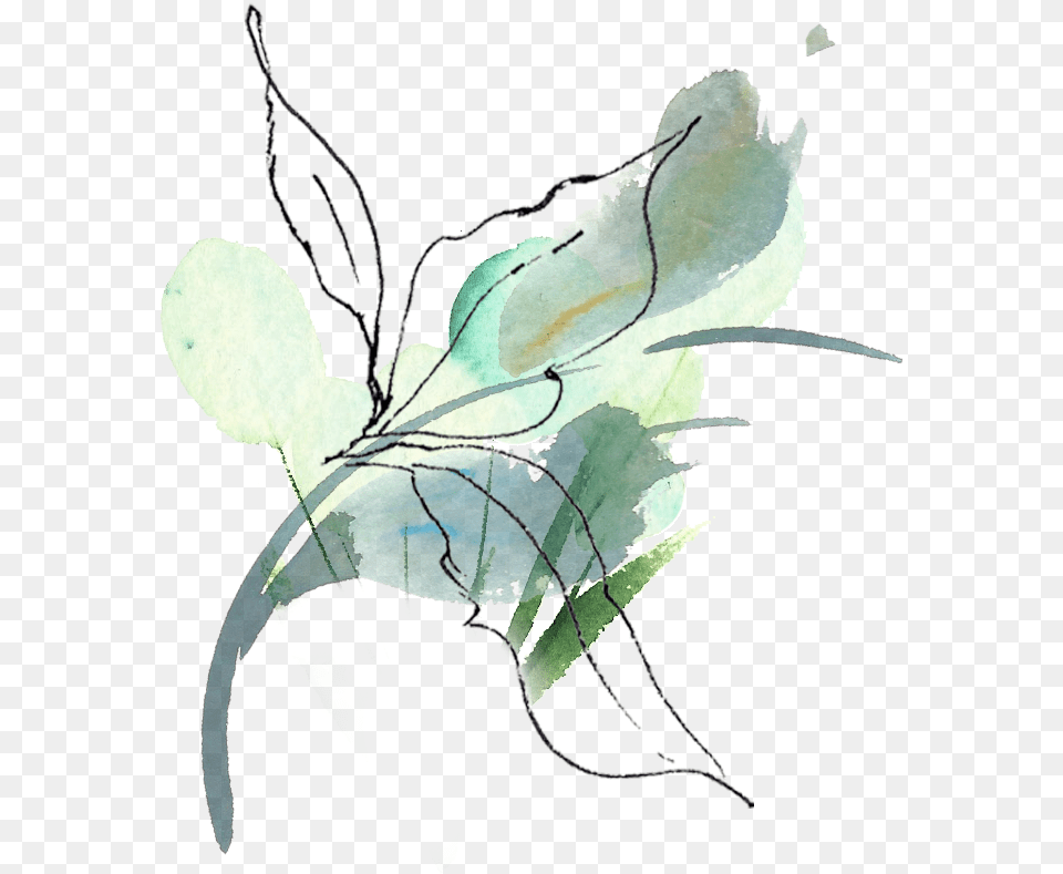 Blue Berry Leaf Sketch, Art, Graphics, Floral Design, Pattern Png Image