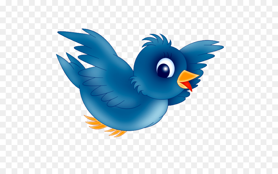 Blue Bird, Animal, Beak, Jay, Fish Free Png