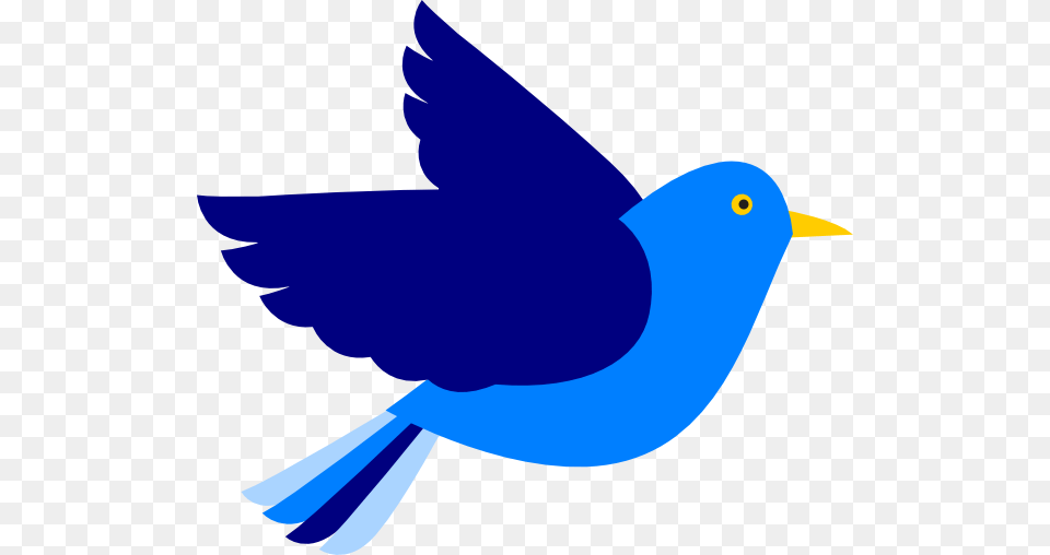 Blue Bird Blue Flying Bird Clipart, Animal, Blackbird, Jay Free Png