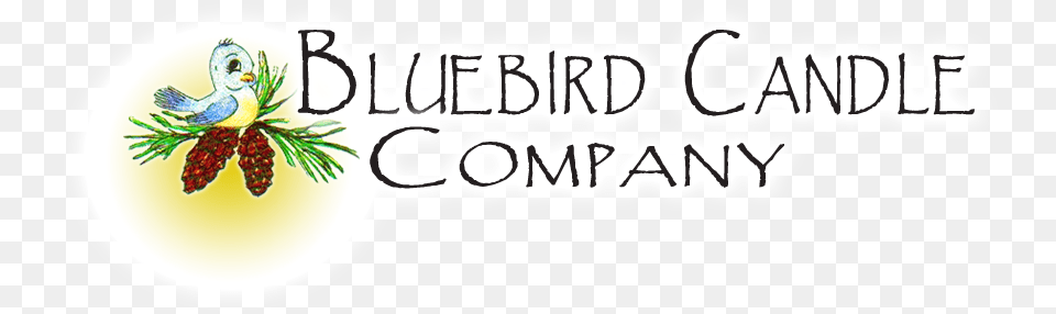 Blue Bird Candle Company Lowville New York New York, Plant, Tree, Conifer Free Png Download