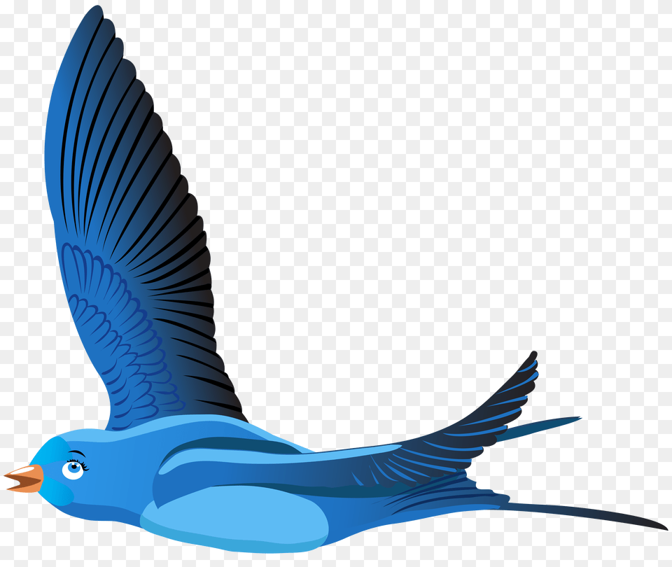 Blue Bird Cartoon Transparent Clip Art Gallery, Animal, Jay Free Png